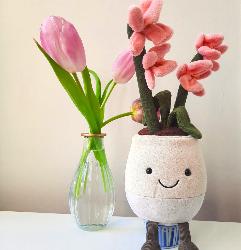 Peluche Jellycat Orchidé Rose - Pink Orchid