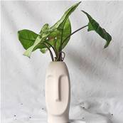 Vase visage stylisé blanc 13.5cm