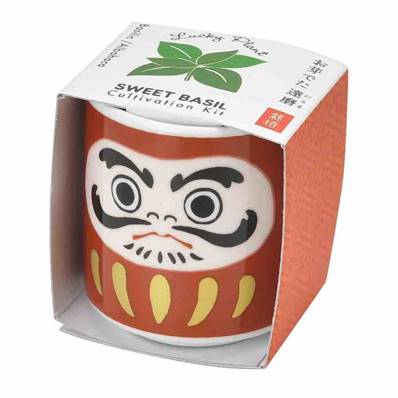 Kit plantation basilic Daruma porte bonheur