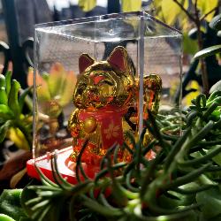 Chat Japonais Maneki Neko doré solaire