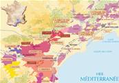 Vin rouge MINERVOIS Baronne Tedaldi 75cl