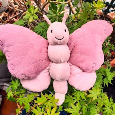 Doudou Béatrice butterfly Jellycat