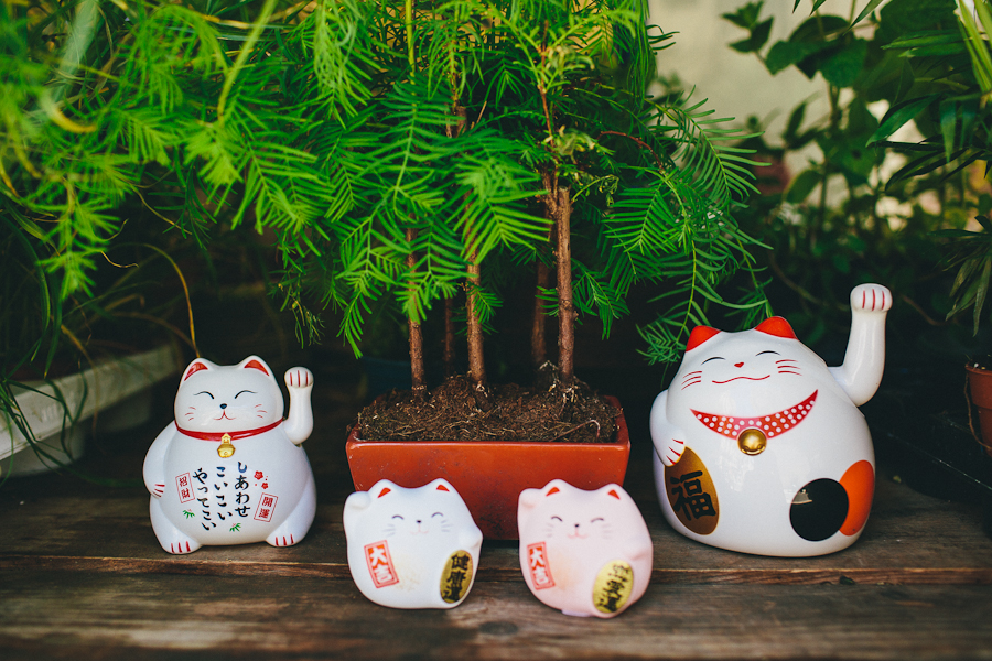 Tirelire chat japonais blanc Porte-bonheur blanc