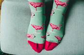 Chaussettes Flamand rose