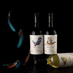 Vin rouge Chili Carmenere Reserva Aves Del Sur