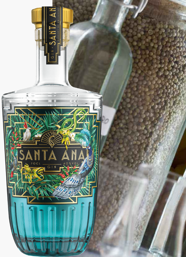 Gin SANTA ANA Phillippines 42,3° 70cl