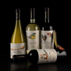 Vin blanc CHILI Aves del Sur chardonnay RESERVA 75cl