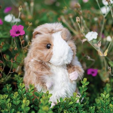 Cochon d'Inde Daphné Wrendale : Le doudou tout doux pour les câlin