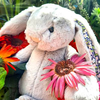 Peluche Jellycat Lapin - Blossom Silver Bunny 'Bloom'