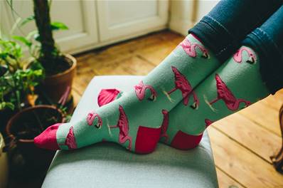 Chaussettes Flamand rose  T41-46