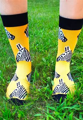 Chaussettes Zèbres fond jaune