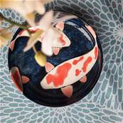 Assiette japonais motifs carpe Koi 20 cm x 4 cm