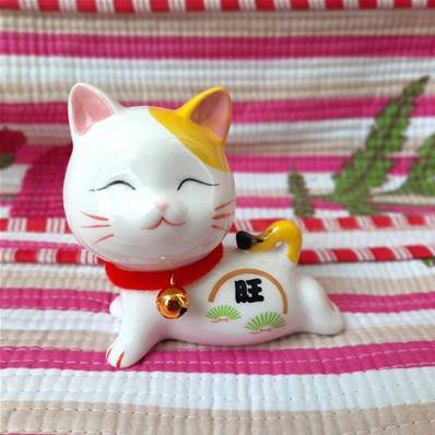Chat couché avec collier grelot