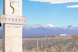 Vin rouge Argentine Altosur malbec