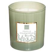 Bougie parfumée EUCALYPTUS 190G dans boite cadeau