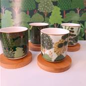 Coffret 4 tasses Porcelaine 11cl Fort