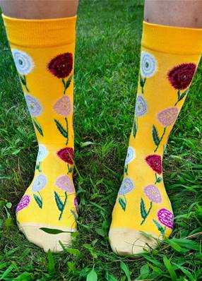 Chaussettes Fleurs d'œillet