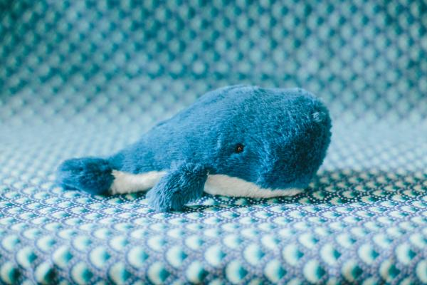 Peluche baleine Jellycat PM