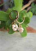 Boucles d'oreilles trio de perles d'eau douce