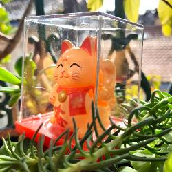 Chat Japonais Maneki Neko blanc solaire