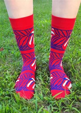 Chaussettes ROLLING STONES