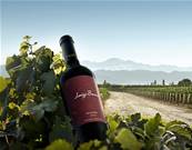 Vin rouge ARGENTINE Bosca malbec 75cl