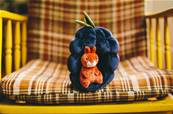 Peluche Ecureuil dans son fruit Jellycat