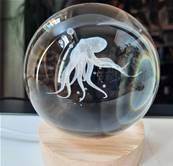 Lampe boule en verrre lumineuse octopus