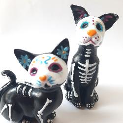 Statut squelette chien