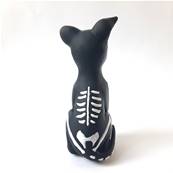 Statut squelette chien