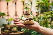 Doudou Religieuse au chocolat Jellycat