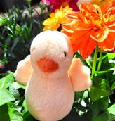 Peluche Jellycat Canard Jaune - Fluffy Duck